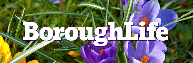 A wintry scene with the words 'Borough Life' over the top